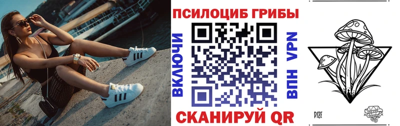Псилоцибиновые грибы Cubensis Пустошка