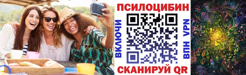 Галлюциногенные грибы прущие грибы  Пустошка 